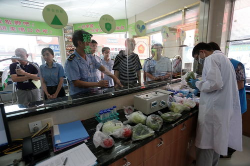 食用農產品抽檢全合格，人大代表政協委員現場見證助力零售安全